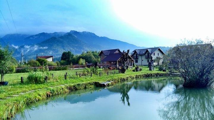 Hasienda Rasnov Exterior foto