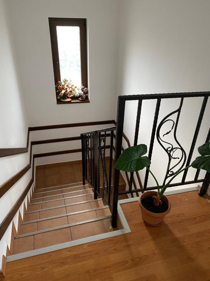 Hasienda Rasnov Exterior foto